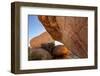 Native American pictographs at Council Rocks, Coronado National Forest, Arizona, USA-Chuck Haney-Framed Photographic Print