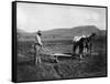 Native American Plowing His Field Photograph - Sacaton Indian Reservation, AZ-Lantern Press-Framed Stretched Canvas