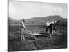 Native American Plowing His Field Photograph - Sacaton Indian Reservation, AZ-Lantern Press-Stretched Canvas