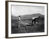 Native American Plowing His Field Photograph - Sacaton Indian Reservation, AZ-Lantern Press-Framed Art Print