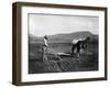 Native American Plowing His Field Photograph - Sacaton Indian Reservation, AZ-Lantern Press-Framed Art Print