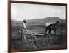 Native American Plowing His Field Photograph - Sacaton Indian Reservation, AZ-Lantern Press-Framed Art Print