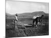 Native American Plowing His Field Photograph - Sacaton Indian Reservation, AZ-Lantern Press-Mounted Art Print