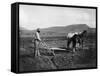 Native American Plowing His Field Photograph - Sacaton Indian Reservation, AZ-Lantern Press-Framed Stretched Canvas
