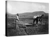 Native American Plowing His Field Photograph - Sacaton Indian Reservation, AZ-Lantern Press-Stretched Canvas