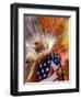 Native American Powwow at Discovery Park, Seattle, Washington, USA-William Sutton-Framed Photographic Print