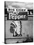 Native American Profile and Dr. Pepper Sign, San Ysidro, New Mexico-Kevin Lange-Stretched Canvas