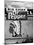 Native American Profile and Dr. Pepper Sign, San Ysidro, New Mexico-Kevin Lange-Mounted Photographic Print