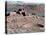 Native American Ruins at Wupatki National Monument, Arizona, USA-Luc Novovitch-Stretched Canvas
