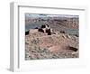 Native American Ruins at Wupatki National Monument, Arizona, USA-Luc Novovitch-Framed Photographic Print