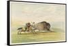 Native American Sioux Hunting Buffalo on Horseback-George Catlin-Framed Stretched Canvas