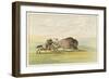 Native American Sioux Hunting Buffalo on Horseback-George Catlin-Framed Photographic Print