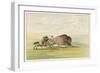 Native American Sioux Hunting Buffalo on Horseback-George Catlin-Framed Photographic Print