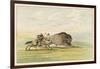 Native American Sioux Hunting Buffalo on Horseback-George Catlin-Framed Photographic Print