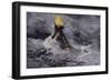 Native American Tepee in a Snowstorm, Emitting Embers from Center Smoke-Hole-null-Framed Giclee Print