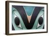 Native American Todem VI-Kathy Mahan-Framed Photographic Print