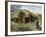 Native American Woman Approaching Hut Where Mass Is Celebrated Near Pachuca, Mexico, 1800s-null-Framed Giclee Print