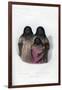 Native American Women and Child, 1848-Harris-Framed Giclee Print