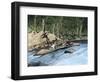 Native Americans in a Dugout Canoe on the Columbia River-null-Framed Giclee Print