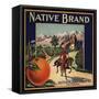 Native Brand - California - Citrus Crate Label-Lantern Press-Framed Stretched Canvas