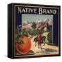 Native Brand - California - Citrus Crate Label-Lantern Press-Framed Stretched Canvas