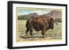 Native Buffalo-null-Framed Premium Giclee Print