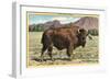 Native Buffalo-null-Framed Premium Giclee Print