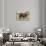 Native Buffalo-null-Art Print displayed on a wall