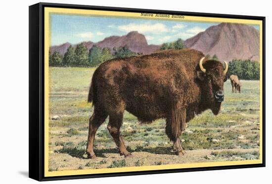 Native Buffalo-null-Framed Stretched Canvas