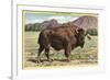 Native Buffalo-null-Framed Art Print