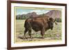 Native Buffalo-null-Framed Art Print