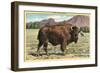 Native Buffalo-null-Framed Art Print