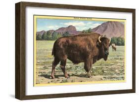 Native Buffalo-null-Framed Art Print