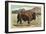 Native Buffalo-null-Framed Art Print