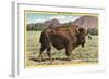 Native Buffalo-null-Framed Art Print