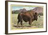 Native Buffalo-null-Framed Art Print