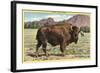 Native Buffalo-null-Framed Art Print