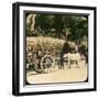 Native Bullock Cart, Ceylon, Late 19th or Early 20th Century-null-Framed Giclee Print