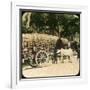 Native Bullock Cart, Ceylon, Late 19th or Early 20th Century-null-Framed Giclee Print