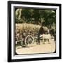 Native Bullock Cart, Ceylon, Late 19th or Early 20th Century-null-Framed Giclee Print