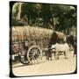 Native Bullock Cart, Ceylon, Late 19th or Early 20th Century-null-Stretched Canvas