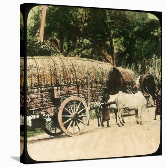 Native Bullock Cart, Ceylon, Late 19th or Early 20th Century-null-Stretched Canvas