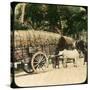 Native Bullock Cart, Ceylon, Late 19th or Early 20th Century-null-Stretched Canvas
