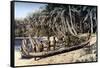 Native Canoe on a Palm Shaded Beach, Solomon Islands, C1923-York & Son-Framed Stretched Canvas