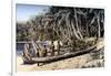 Native Canoe on a Palm Shaded Beach, Solomon Islands, C1923-York & Son-Framed Giclee Print