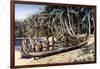 Native Canoe on a Palm Shaded Beach, Solomon Islands, C1923-York & Son-Framed Giclee Print