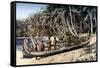 Native Canoe on a Palm Shaded Beach, Solomon Islands, C1923-York & Son-Framed Stretched Canvas