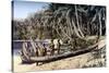 Native Canoe on a Palm Shaded Beach, Solomon Islands, C1923-York & Son-Stretched Canvas