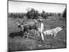 Native Cart in Manila, Philippines, 1908-1909-Homer L Knight-Mounted Giclee Print