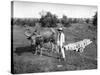 Native Cart in Manila, Philippines, 1908-1909-Homer L Knight-Stretched Canvas